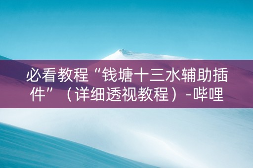 必看教程“钱塘十三水辅助插件”（详细透视教程）-哔哩哔哩