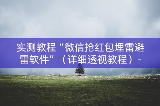 实测教程“微信抢红包埋雷避雷软件”（详细透视教程）-哔哩哔哩