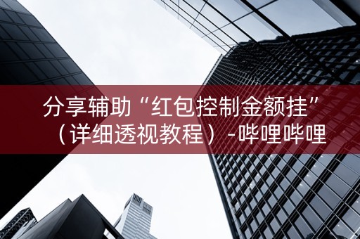 分享辅助“红包控制金额挂”（详细透视教程）-哔哩哔哩