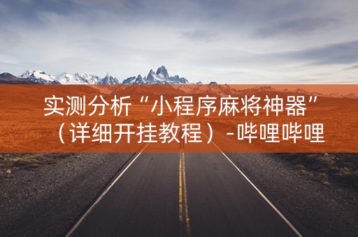 实测分析“小程序麻将神器”（详细开挂教程）-哔哩哔哩