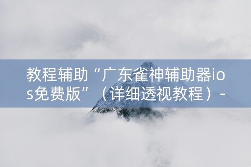 教程辅助“广东雀神辅助器ios免费版”（详细透视教程）-哔哩哔哩