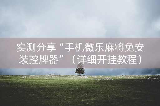 实测分享“手机微乐麻将免安装控牌器”（详细开挂教程）-哔哩哔哩