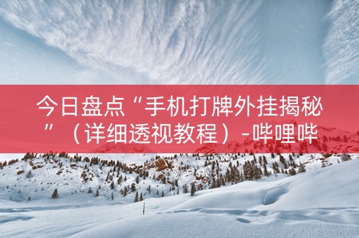 今日盘点“手机打牌外挂揭秘”（详细透视教程）-哔哩哔哩