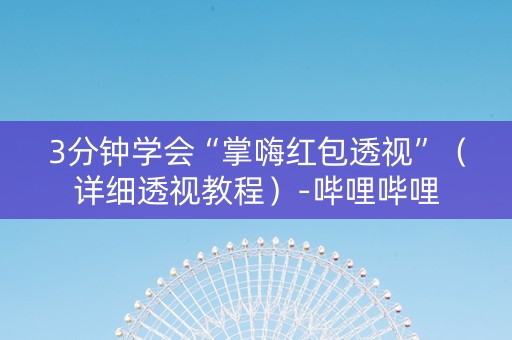 3分钟学会“掌嗨红包透视”（详细透视教程）-哔哩哔哩