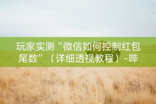 玩家实测“微信如何控制红包尾数”（详细透视教程）-哔哩哔哩