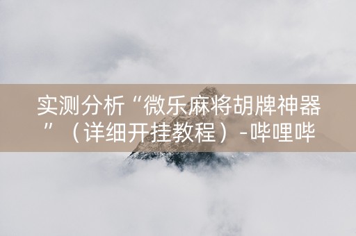 实测分析“微乐麻将胡牌神器”（详细开挂教程）-哔哩哔哩