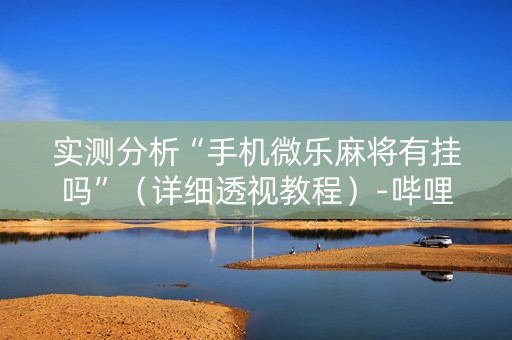 实测分析“手机微乐麻将有挂吗”（详细透视教程）-哔哩哔哩