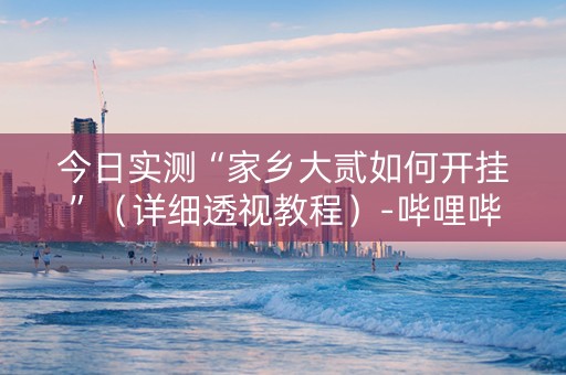 今日实测“家乡大贰如何开挂”（详细透视教程）-哔哩哔哩