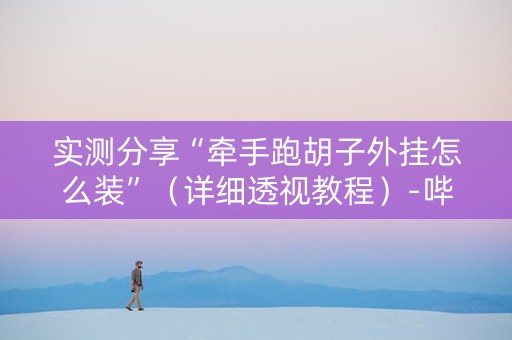 实测分享“牵手跑胡子外挂怎么装”（详细透视教程）-哔哩哔哩