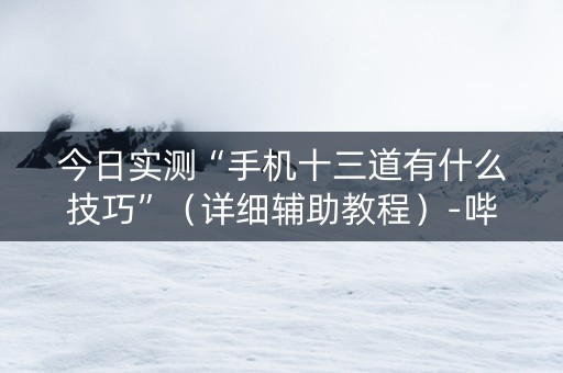 今日实测“手机十三道有什么技巧”（详细辅助教程）-哔哩哔哩