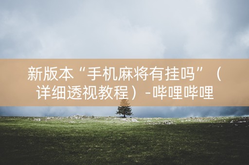 新版本“手机麻将有挂吗”（详细透视教程）-哔哩哔哩