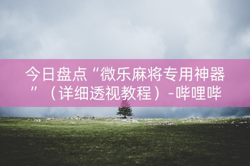 今日盘点“微乐麻将专用神器”（详细透视教程）-哔哩哔哩