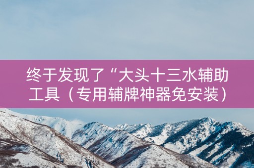 终于发现了“大头十三水辅助工具（专用辅牌神器免安装）
