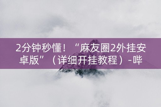 2分钟秒懂！“麻友圈2外挂安卓版”（详细开挂教程）-哔哩哔哩