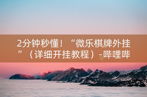 2分钟秒懂！“微乐棋牌外挂”（详细开挂教程）-哔哩哔哩