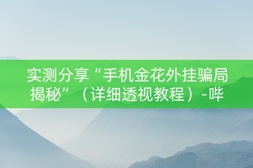 实测分享“手机金花外挂骗局揭秘”（详细透视教程）-哔哩哔哩
