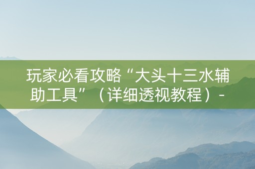 玩家必看攻略“大头十三水辅助工具”（详细透视教程）-哔哩哔哩