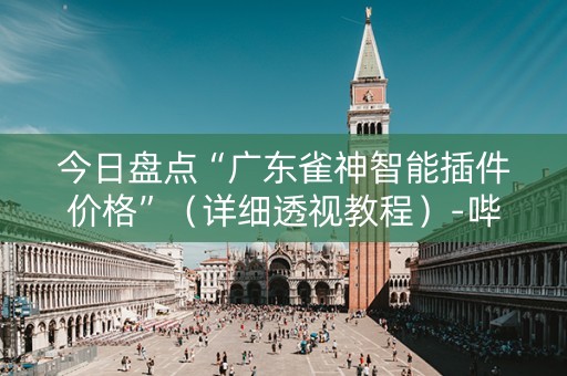 今日盘点“广东雀神智能插件价格”（详细透视教程）-哔哩哔哩