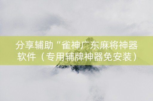 分享辅助“雀神广东麻将神器软件（专用辅牌神器免安装）