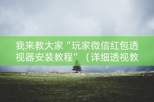 我来教大家“玩家微信红包透视器安装教程”（详细透视教程）-哔哩哔哩