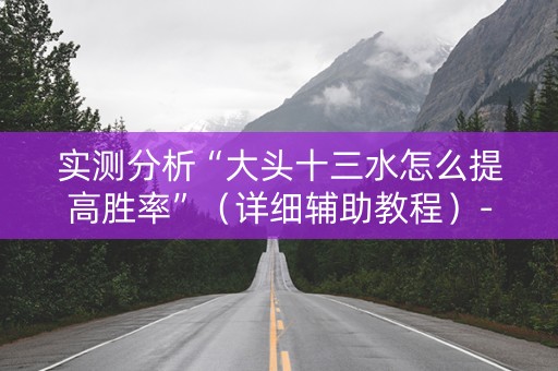 实测分析“大头十三水怎么提高胜率”（详细辅助教程）-哔哩哔哩