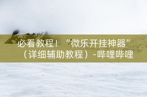 必看教程！“微乐开挂神器”（详细辅助教程）-哔哩哔哩