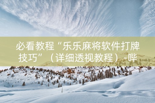 必看教程“乐乐麻将软件打牌技巧”（详细透视教程）-哔哩哔哩