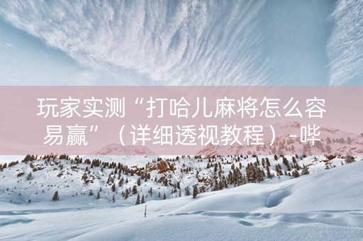 玩家实测“打哈儿麻将怎么容易赢”（详细透视教程）-哔哩哔哩