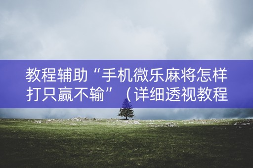 教程辅助“手机微乐麻将怎样打只赢不输”（详细透视教程）-哔哩哔哩