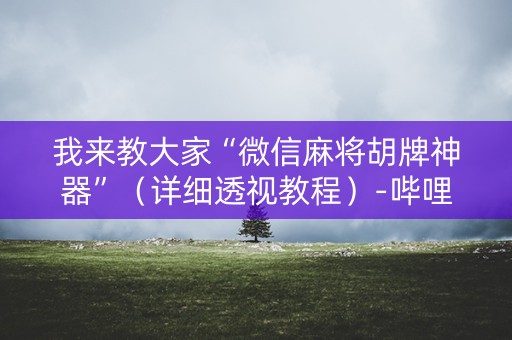 我来教大家“微信麻将胡牌神器”（详细透视教程）-哔哩哔哩