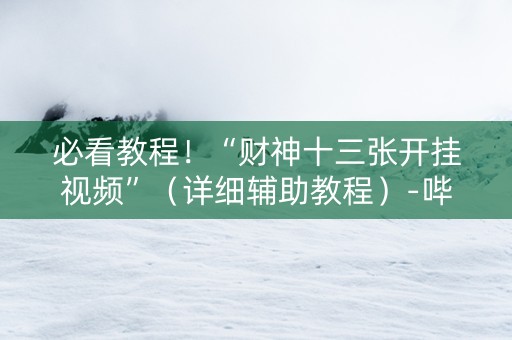必看教程！“财神十三张开挂视频”（详细辅助教程）-哔哩哔哩