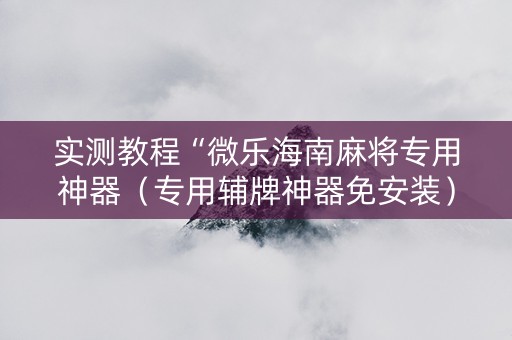 实测教程“微乐海南麻将专用神器（专用辅牌神器免安装）