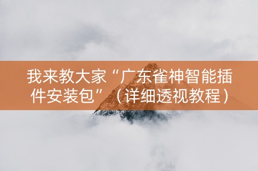 我来教大家“广东雀神智能插件安装包”（详细透视教程）-哔哩哔哩