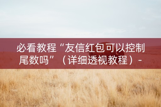 必看教程“友信红包可以控制尾数吗”（详细透视教程）-哔哩哔哩