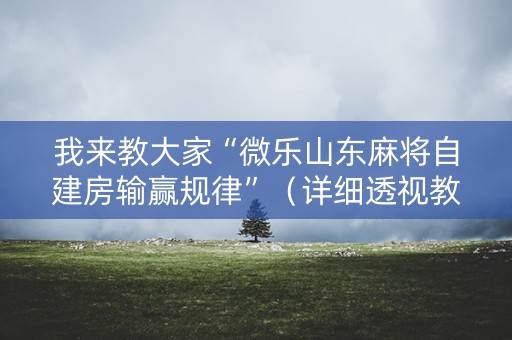 我来教大家“微乐山东麻将自建房输赢规律”（详细透视教程）-哔哩哔哩