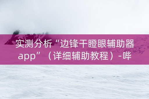 实测分析“边锋干瞪眼辅助器app”（详细辅助教程）-哔哩哔哩