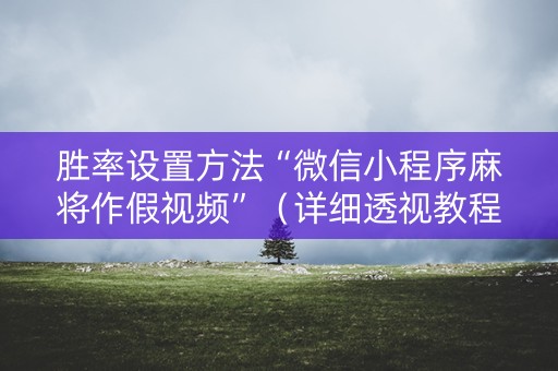 胜率设置方法“微信小程序麻将作假视频”（详细透视教程）-哔哩哔哩
