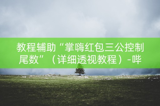 教程辅助“掌嗨红包三公控制尾数”（详细透视教程）-哔哩哔哩