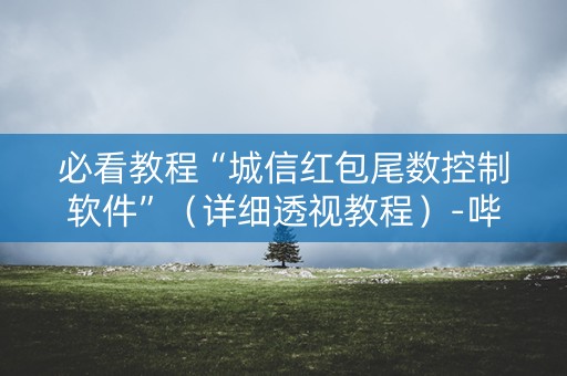 必看教程“城信红包尾数控制软件”（详细透视教程）-哔哩哔哩