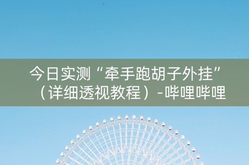 今日实测“牵手跑胡子外挂”（详细透视教程）-哔哩哔哩