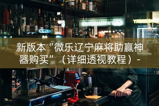 新版本“微乐辽宁麻将助赢神器购买”（详细透视教程）-哔哩哔哩