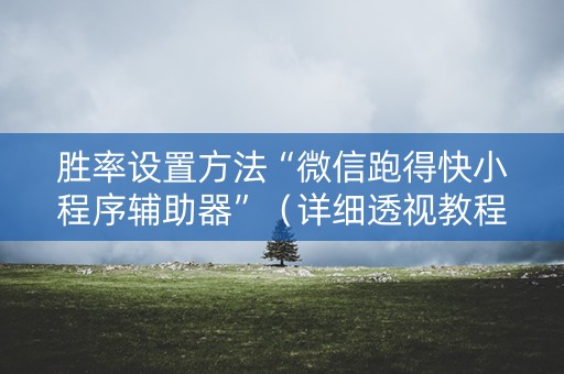胜率设置方法“微信跑得快小程序辅助器”（详细透视教程）-哔哩哔哩