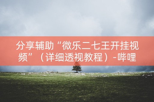 分享辅助“微乐二七王开挂视频”（详细透视教程）-哔哩哔哩