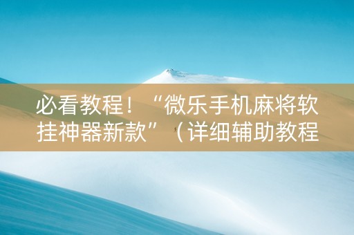 必看教程！“微乐手机麻将软挂神器新款”（详细辅助教程）-哔哩哔哩