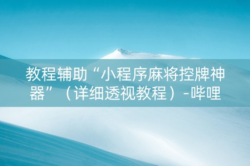 教程辅助“小程序麻将控牌神器”（详细透视教程）-哔哩哔哩