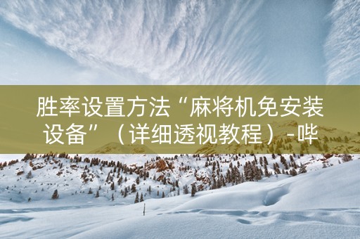 胜率设置方法“麻将机免安装设备”（详细透视教程）-哔哩哔哩