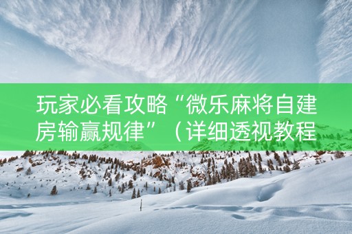玩家必看攻略“微乐麻将自建房输赢规律”（详细透视教程）-哔哩哔哩