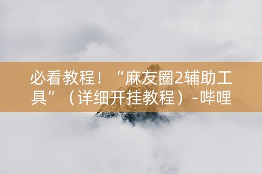 必看教程！“麻友圈2辅助工具”（详细开挂教程）-哔哩哔哩