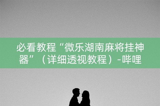 必看教程“微乐湖南麻将挂神器”（详细透视教程）-哔哩哔哩
