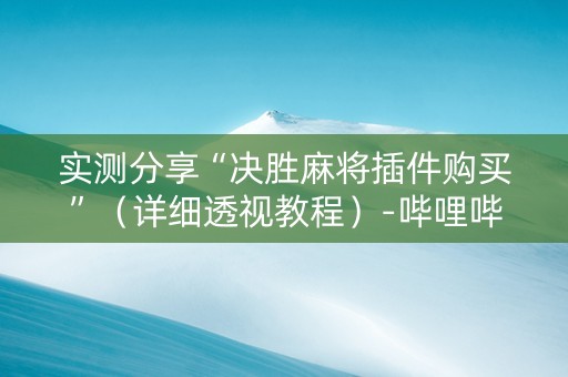 实测分享“决胜麻将插件购买”（详细透视教程）-哔哩哔哩